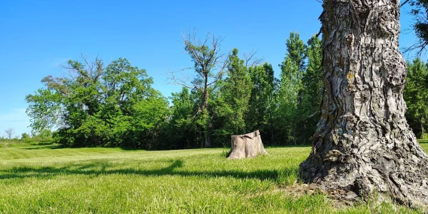 DCCCA - First Step at Lakeview